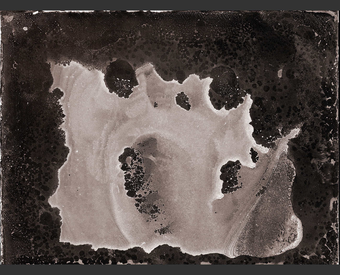 Logos Series from The Biennale, Paul Lowry